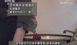 原神采访被爆料的人的视频,爆料者视角下的游戏制作内幕